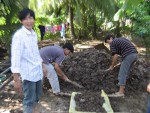 Đoàn viên thanh niên Chi Đoàn Cty tham gia xây dựng mái ấm Công đoàn cho thanh niên Giang Minh Tấn